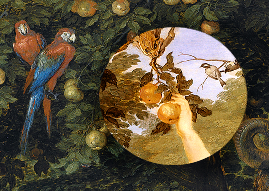 Schwäbische Schöpfung